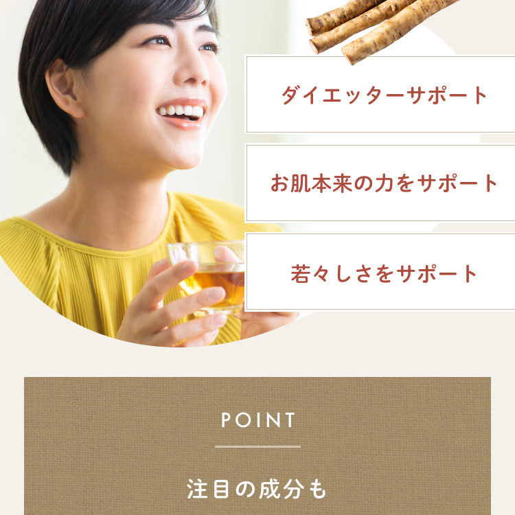 健康菜茶 国産黒豆ごぼう茶 深蒸し・遠赤焙煎製法 50包