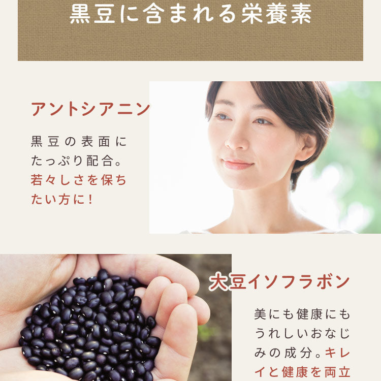 健康菜茶 国産黒豆ごぼう茶 深蒸し・遠赤焙煎製法 50包