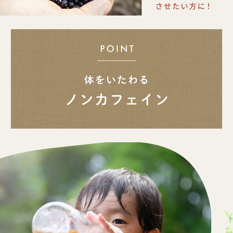 健康菜茶 国産黒豆ごぼう茶 深蒸し・遠赤焙煎製法 50包