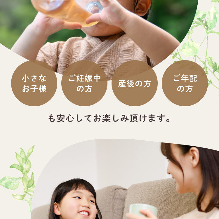 健康菜茶 国産黒豆ごぼう茶 深蒸し・遠赤焙煎製法 50包