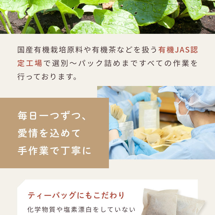 健康菜茶 国産黒豆ごぼう茶 深蒸し・遠赤焙煎製法 50包