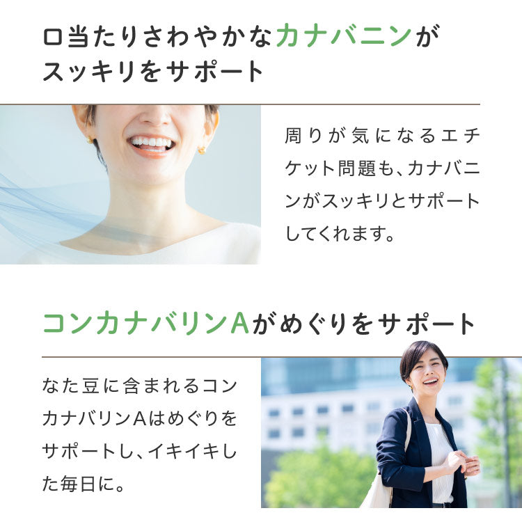 健康菜茶 国産 なた豆茶 2.5g×30包 ティーバッグ 無農薬 無添加