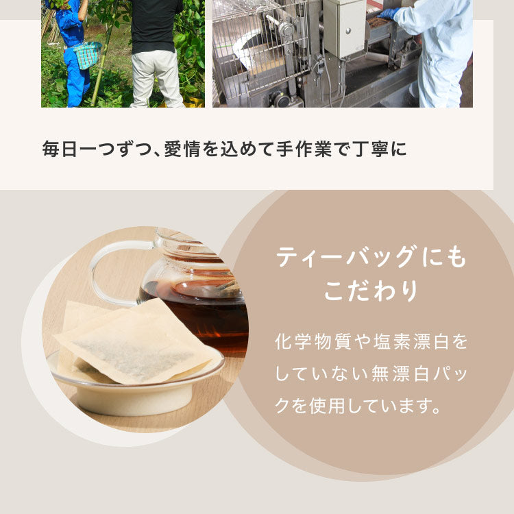 健康菜茶 国産 なた豆茶 2.5g×30包 ティーバッグ 無農薬 無添加