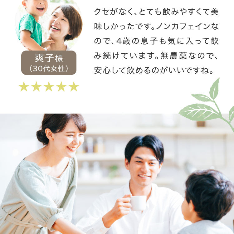 健康菜茶 国産 なた豆茶 2.5g×30包 ティーバッグ 無農薬 無添加