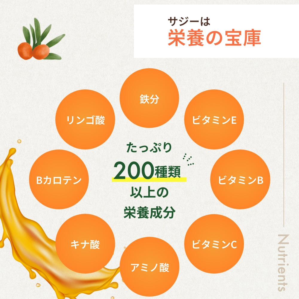 GreenDish サジージュース パウダー 無添加 200g