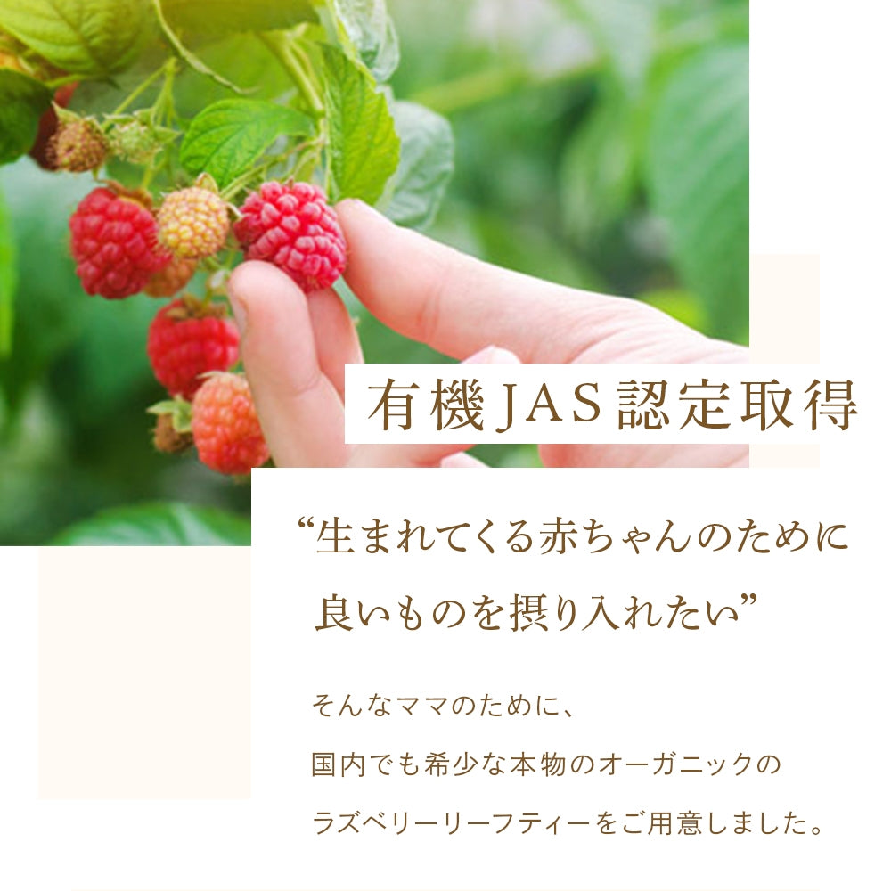 Kaorino 有機ラズベリーリーフティー 1.2g×30包