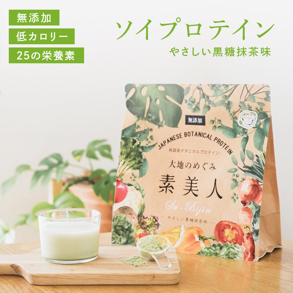 大地のめぐみ素美人 やさしい黒糖抹茶味 純国産ソイプロテイン 完全食 無添加 250g