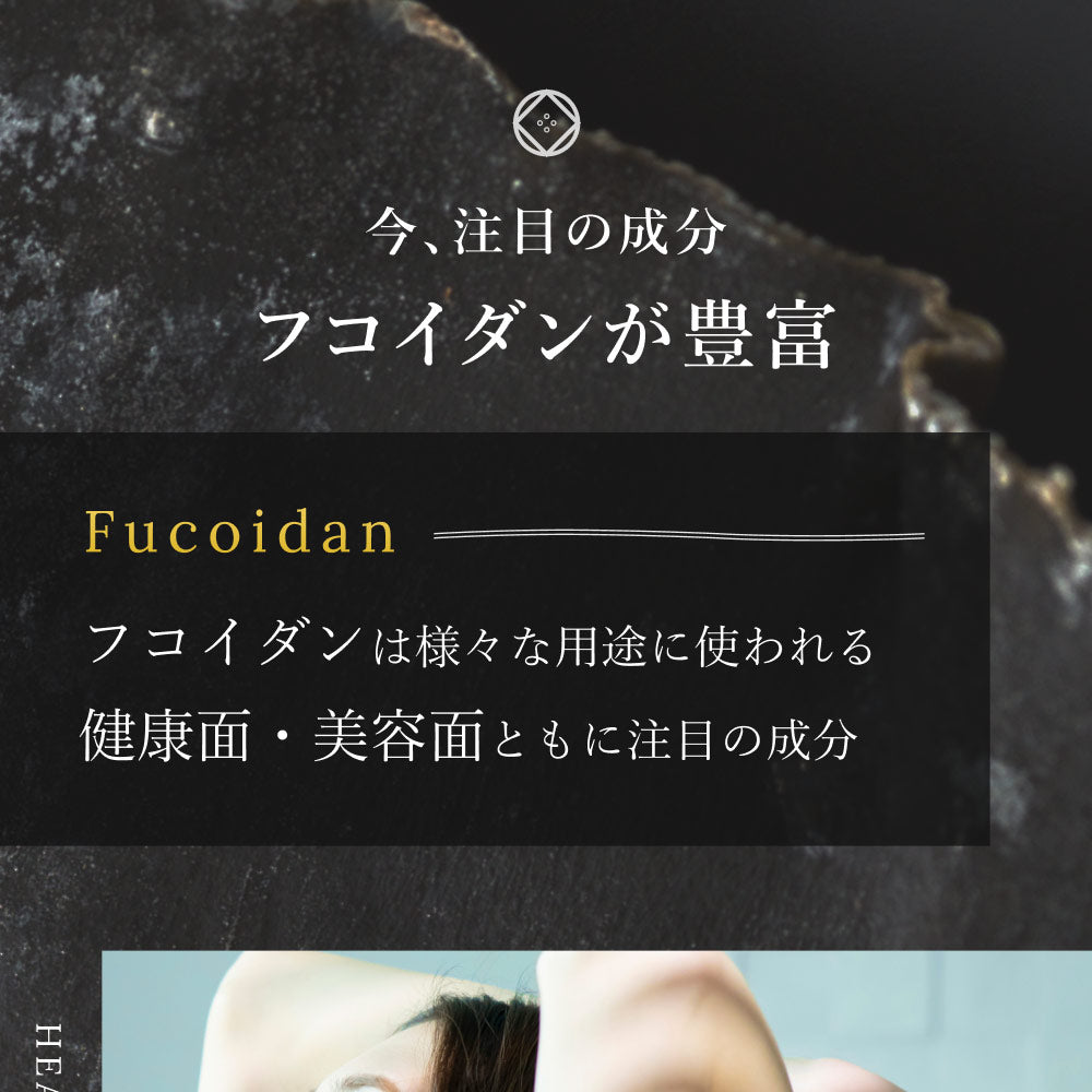 風土日和 がごめ昆布 天然 細切り 昆布 北海道道南黒口浜産 40g