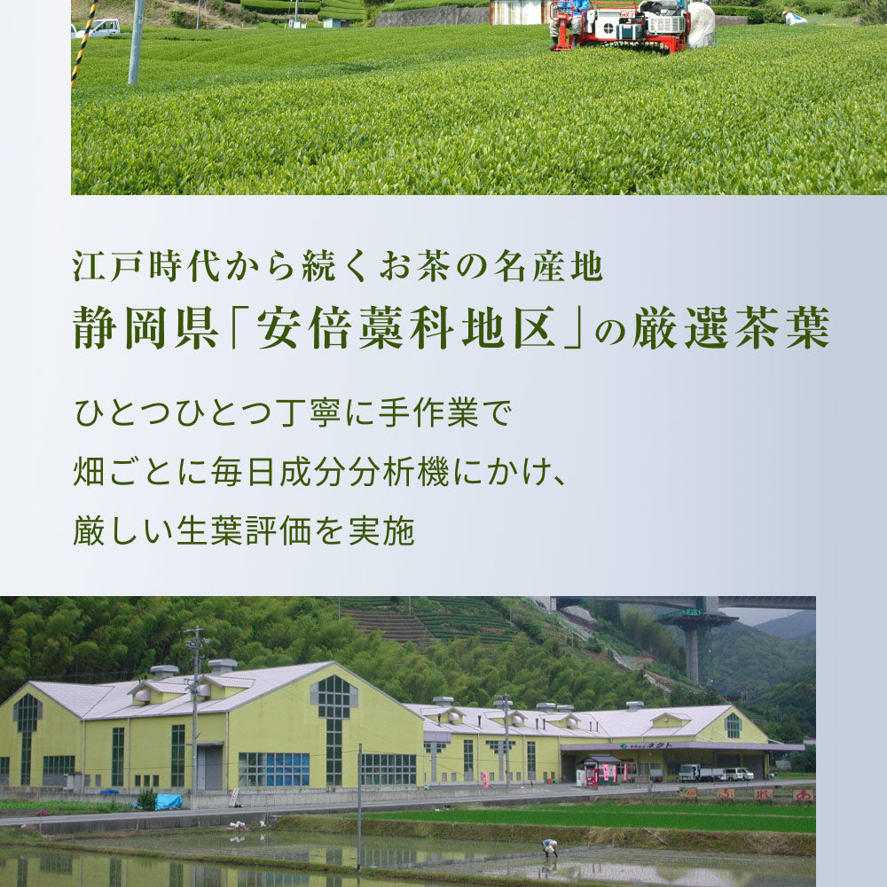 風土日和 国産べにふうき緑茶 粉末 農水大臣賞・日本農業賞受賞 80g