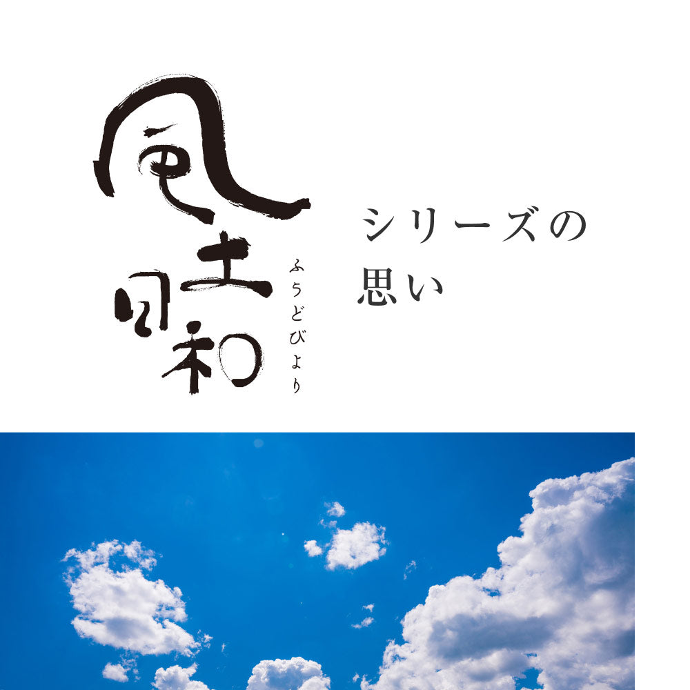 風土日和 国産べにふうき緑茶 粉末 農水大臣賞・日本農業賞受賞 80g