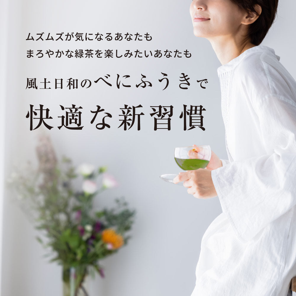 風土日和 国産べにふうき緑茶 粉末 農水大臣賞・日本農業賞受賞 80g