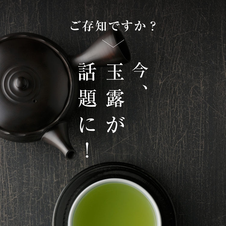 風土日和 有機玉露 鹿児島産 有機JAS認証 最高級茶葉使用 50g