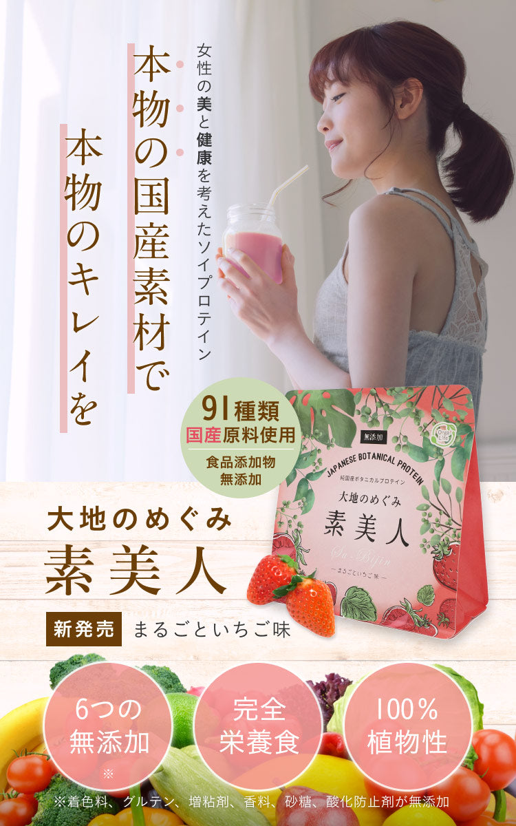 大地のめぐみ素美人 ソイプロテイン まるごといちご味 純国産 完全食 無添加  250g