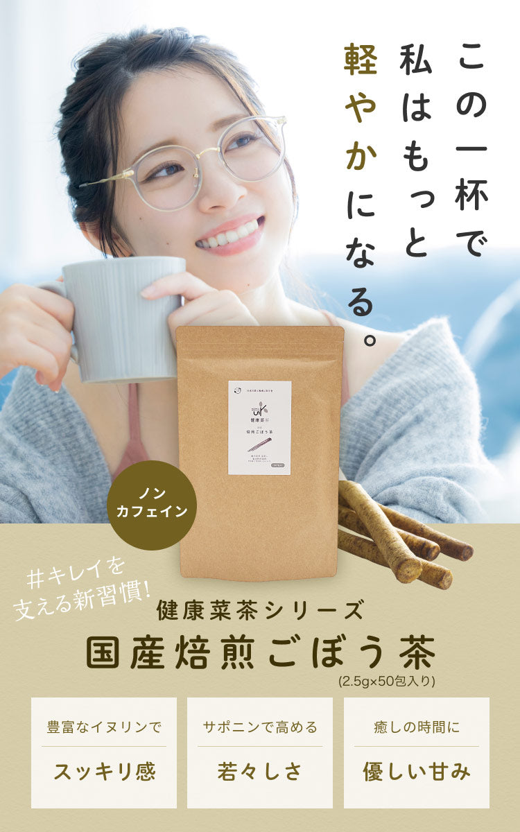 健康菜茶 国産焙煎ごぼう茶 水出し ティーバッグ 50包