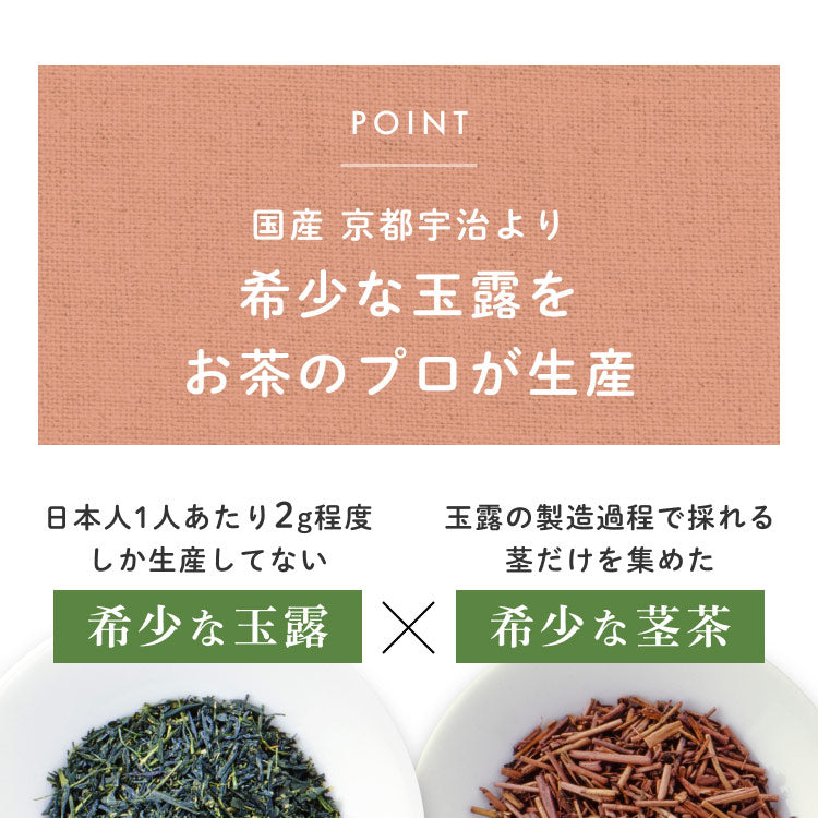 健康菜茶 玉露茎ほうじ茶 京都宇治 高級 玉露くき茶使用 100g