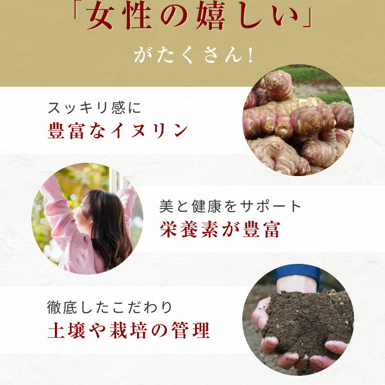 風土日和 国産 紫菊芋パウダー 無添加 100g