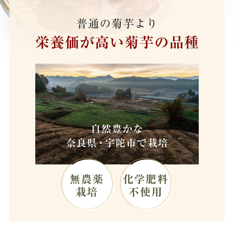 風土日和 国産 紫菊芋パウダー 無添加 100g