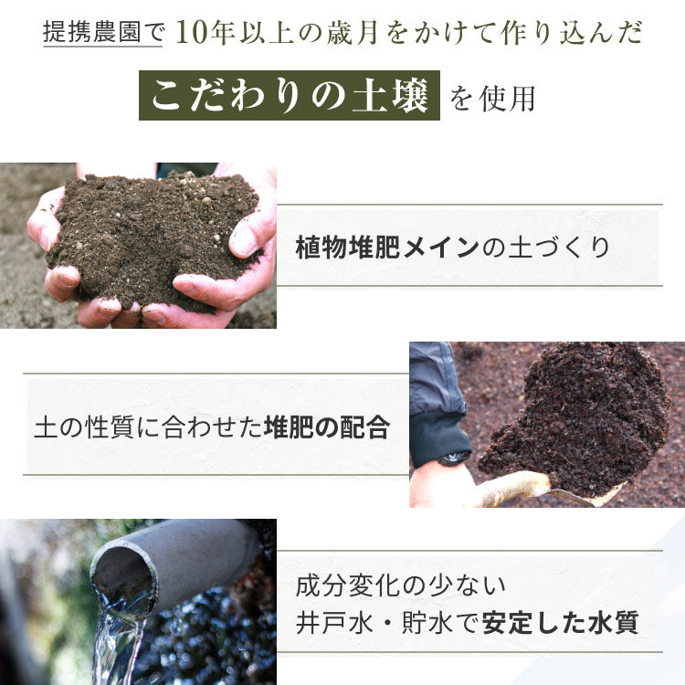 風土日和 国産 紫菊芋パウダー 無添加 100g