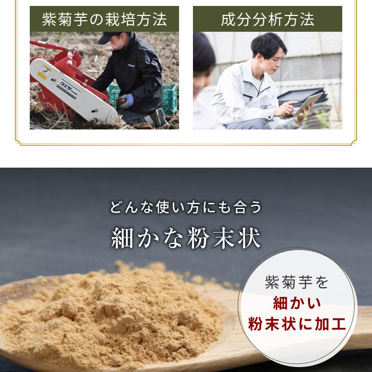 風土日和 国産 紫菊芋パウダー 無添加 100g