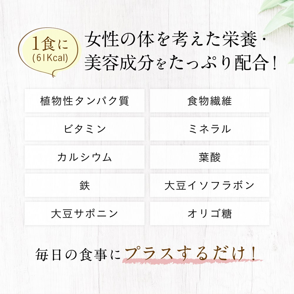 大地のめぐみ素美人 やさしい黒糖抹茶味 純国産ソイプロテイン 完全食 無添加 250g