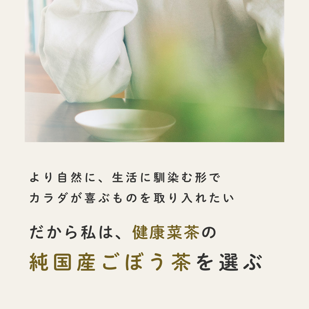 健康菜茶 国産焙煎ごぼう茶 水出し ティーバッグ 50包