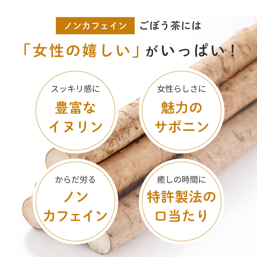 健康菜茶 国産焙煎ごぼう茶 水出し ティーバッグ 50包