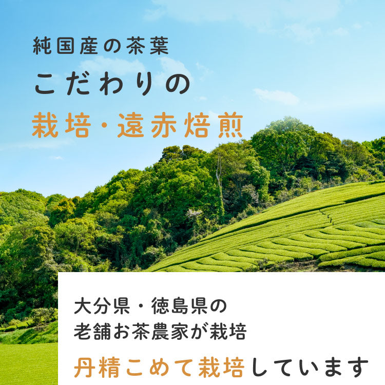 健康菜茶 国産杜仲茶 遠赤焙煎 無農薬 無添加 ティーバッグ 40包