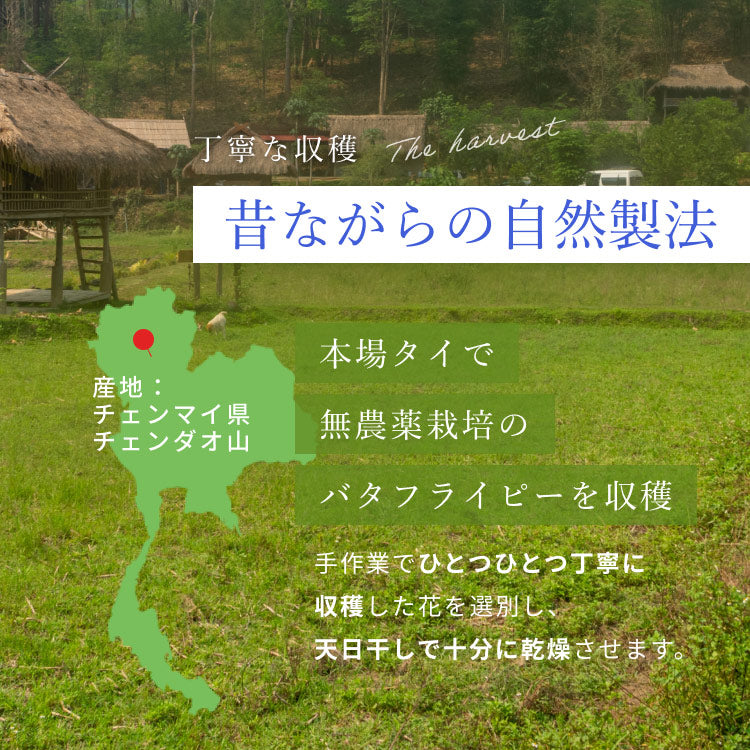 Kaorino オーガニック バタフライピー 完全無農薬茶葉使用 50g