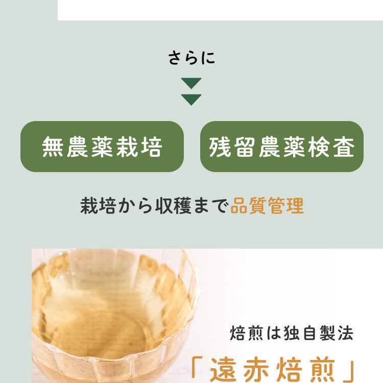 健康菜茶 国産杜仲茶 遠赤焙煎 無農薬 無添加 ティーバッグ 40包