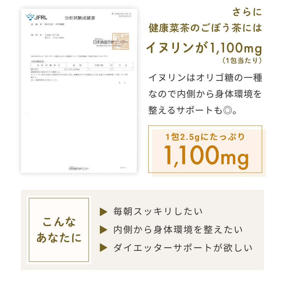 健康菜茶 国産焙煎ごぼう茶 水出し ティーバッグ 50包