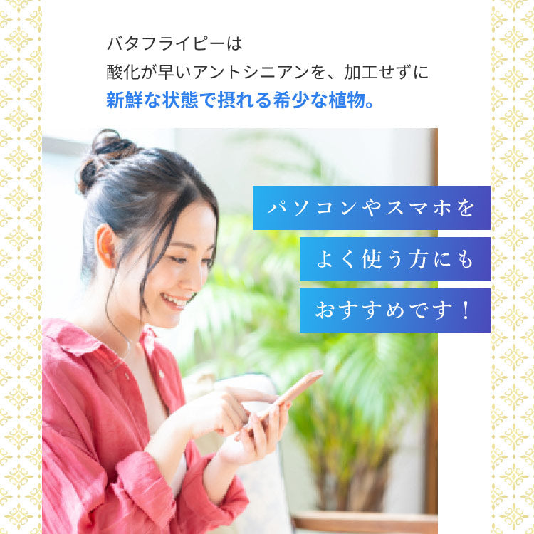 Kaorino オーガニック バタフライピー 完全無農薬茶葉使用 50g