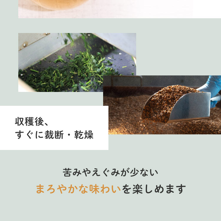 健康菜茶 国産杜仲茶 遠赤焙煎 無農薬 無添加 ティーバッグ 40包