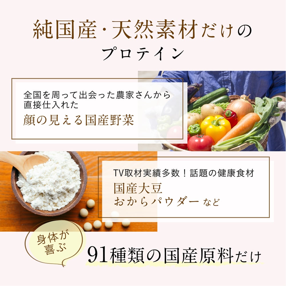 大地のめぐみ素美人 やさしい黒糖抹茶味 純国産ソイプロテイン 完全食 無添加 250g