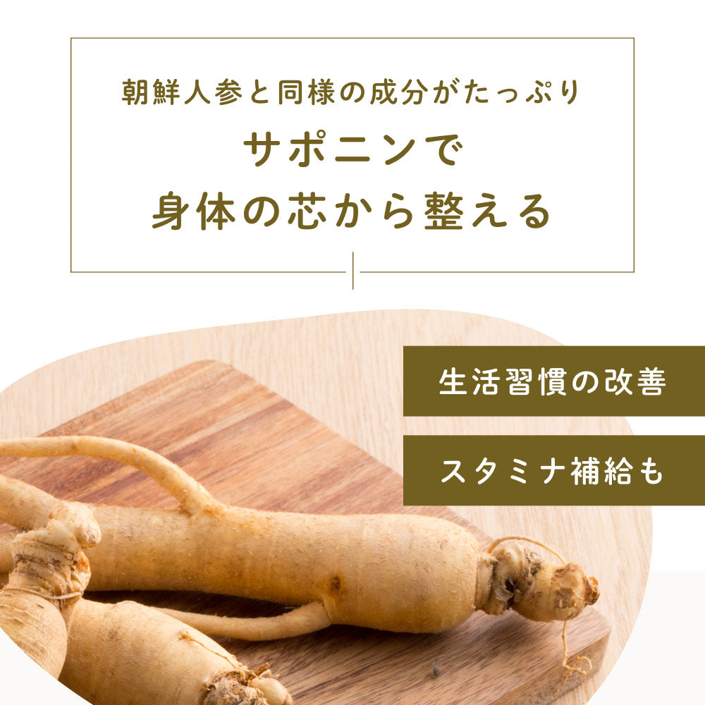 健康菜茶 国産焙煎ごぼう茶 水出し ティーバッグ 50包