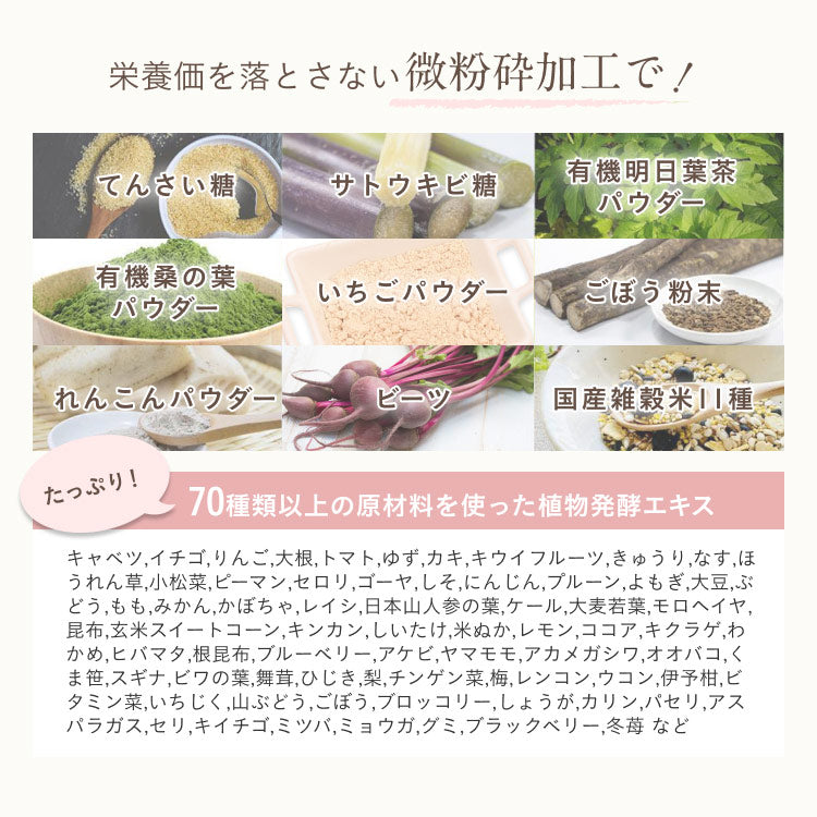 大地のめぐみ素美人 ソイプロテイン まるごといちご味 純国産 完全食 無添加  250g