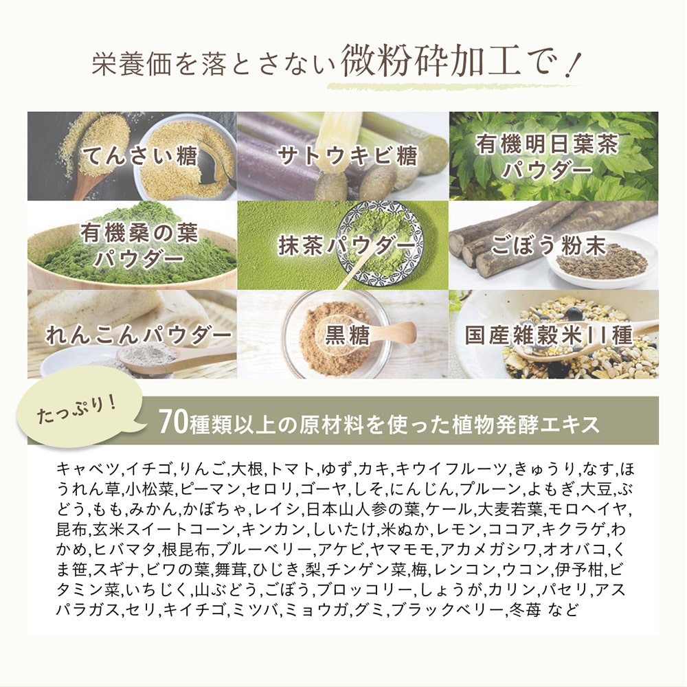 大地のめぐみ素美人 やさしい黒糖抹茶味 純国産ソイプロテイン 完全食 無添加 250g