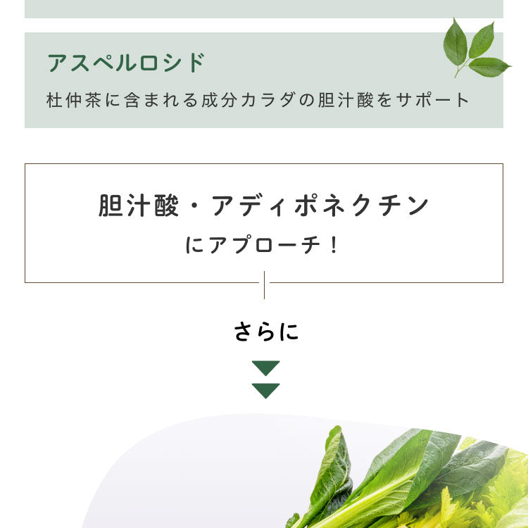 健康菜茶 国産杜仲茶 遠赤焙煎 無農薬 無添加 ティーバッグ 40包