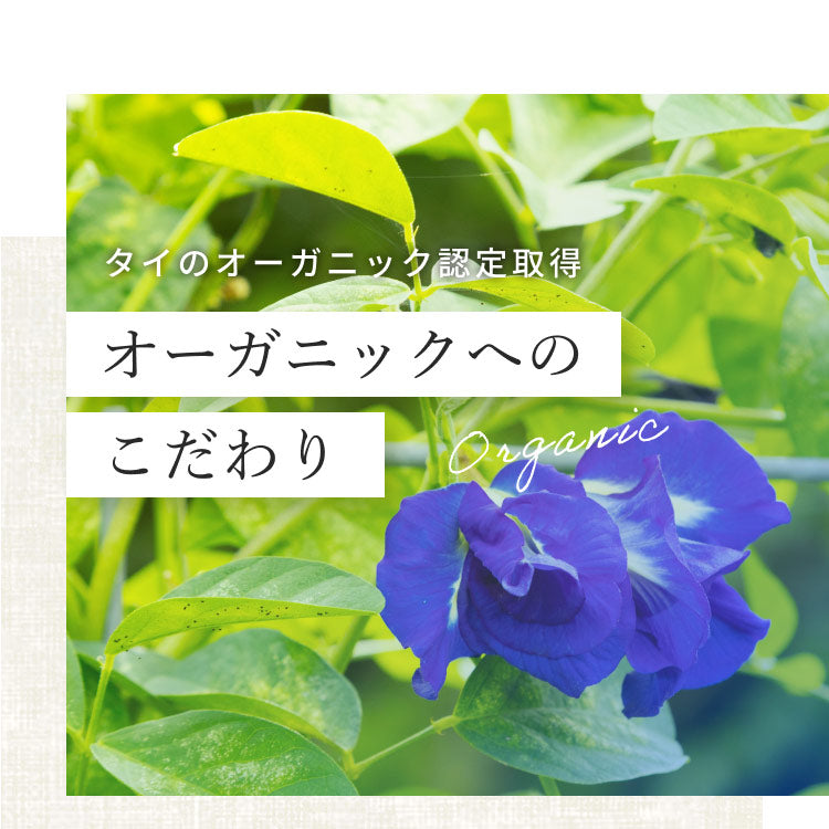 Kaorino オーガニック バタフライピー 完全無農薬茶葉使用 50g