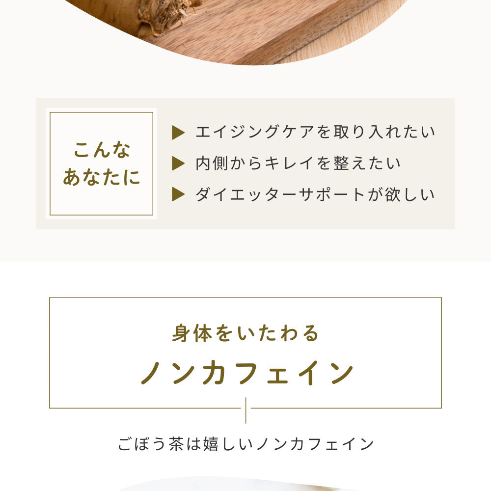健康菜茶 国産焙煎ごぼう茶 水出し ティーバッグ 50包