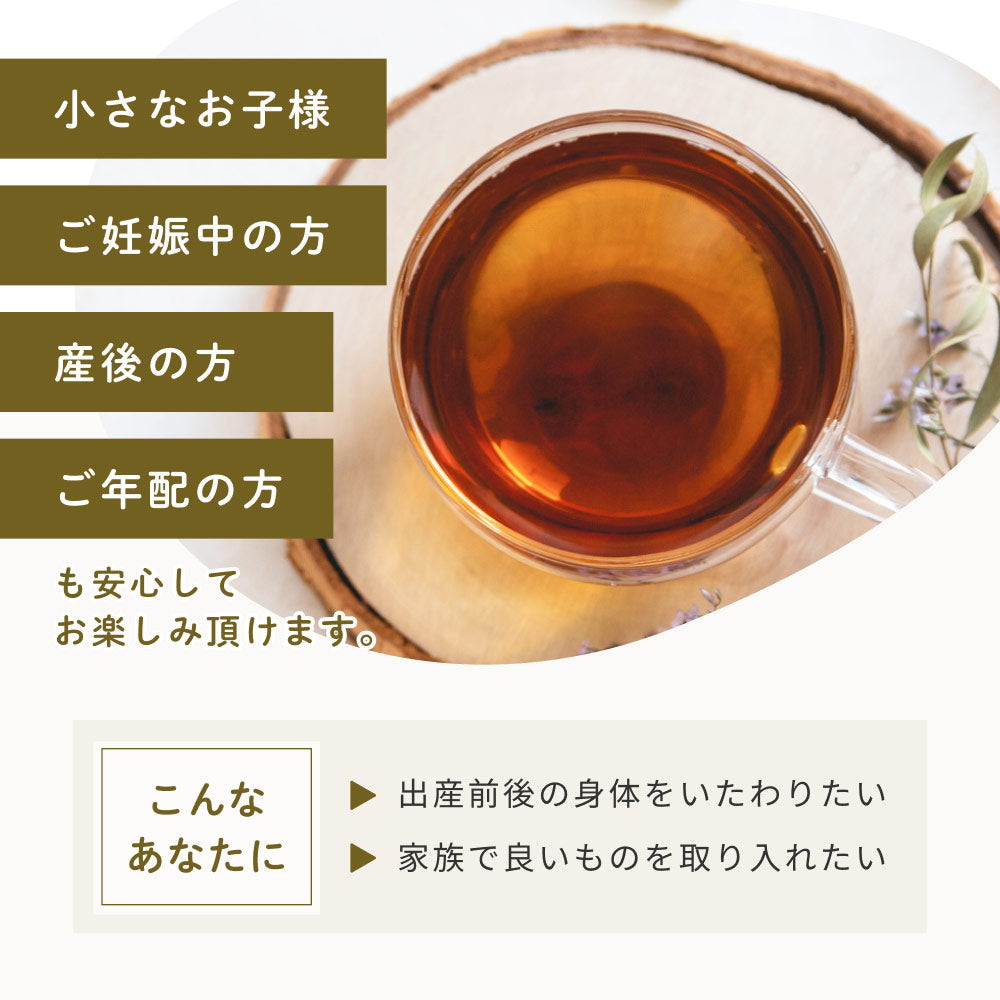 健康菜茶 国産焙煎ごぼう茶 水出し ティーバッグ 50包