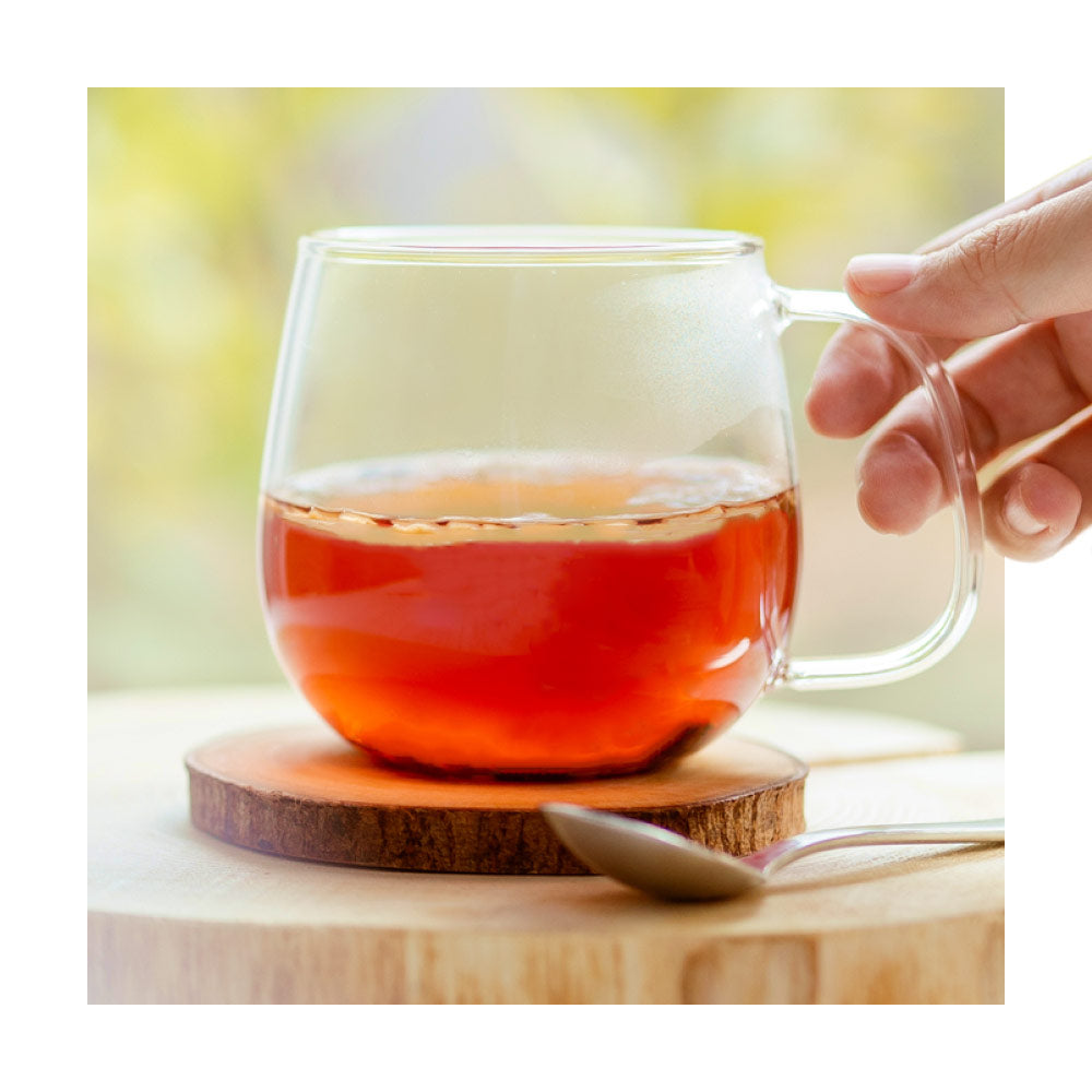 健康菜茶 国産焙煎ごぼう茶 水出し ティーバッグ 50包
