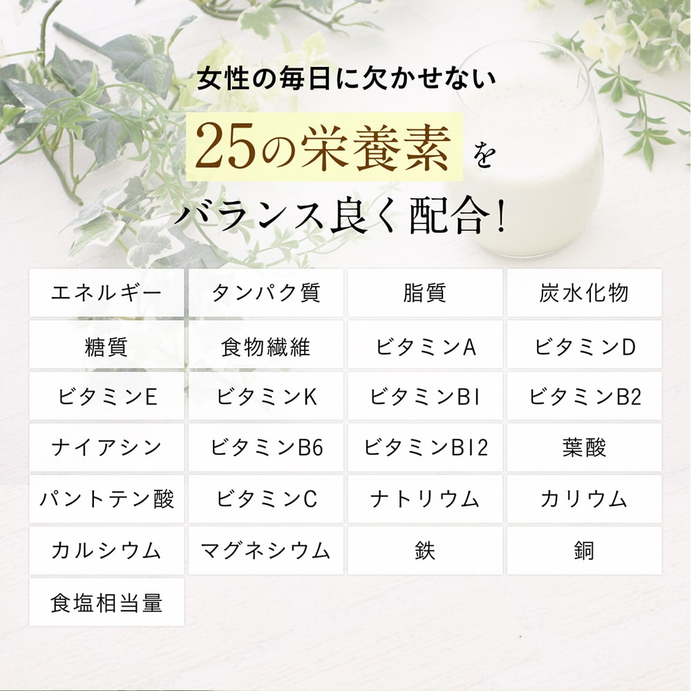 大地のめぐみ素美人 やさしい黒糖抹茶味 純国産ソイプロテイン 完全食 無添加 250g