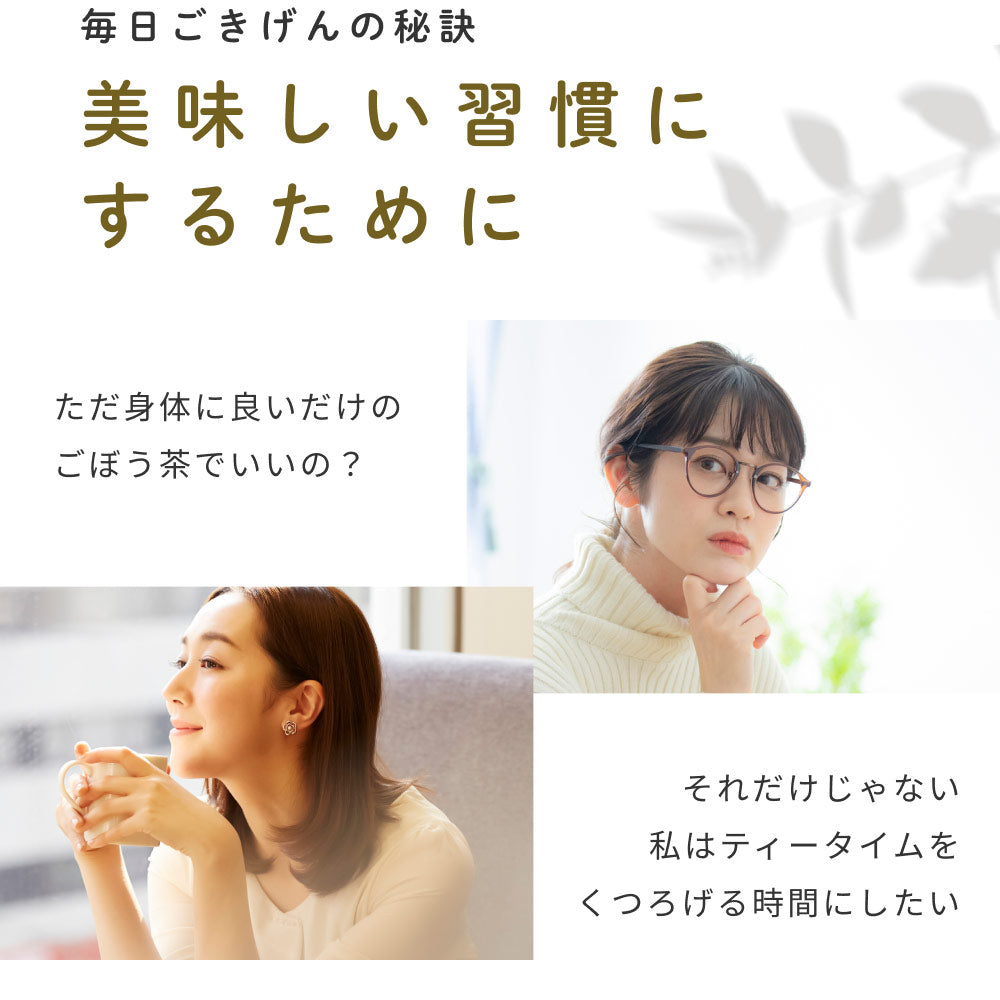 健康菜茶 国産焙煎ごぼう茶 水出し ティーバッグ 50包