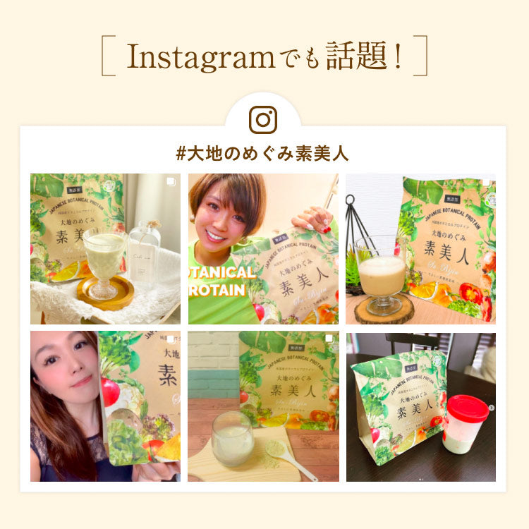 大地のめぐみ素美人 ソイプロテイン まるごといちご味 純国産 完全食 無添加  250g