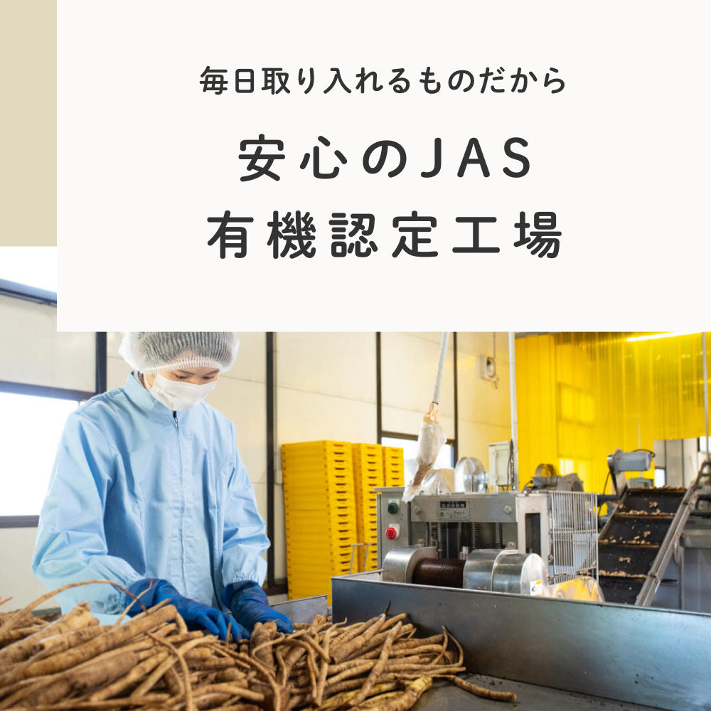 健康菜茶 国産焙煎ごぼう茶 水出し ティーバッグ 50包