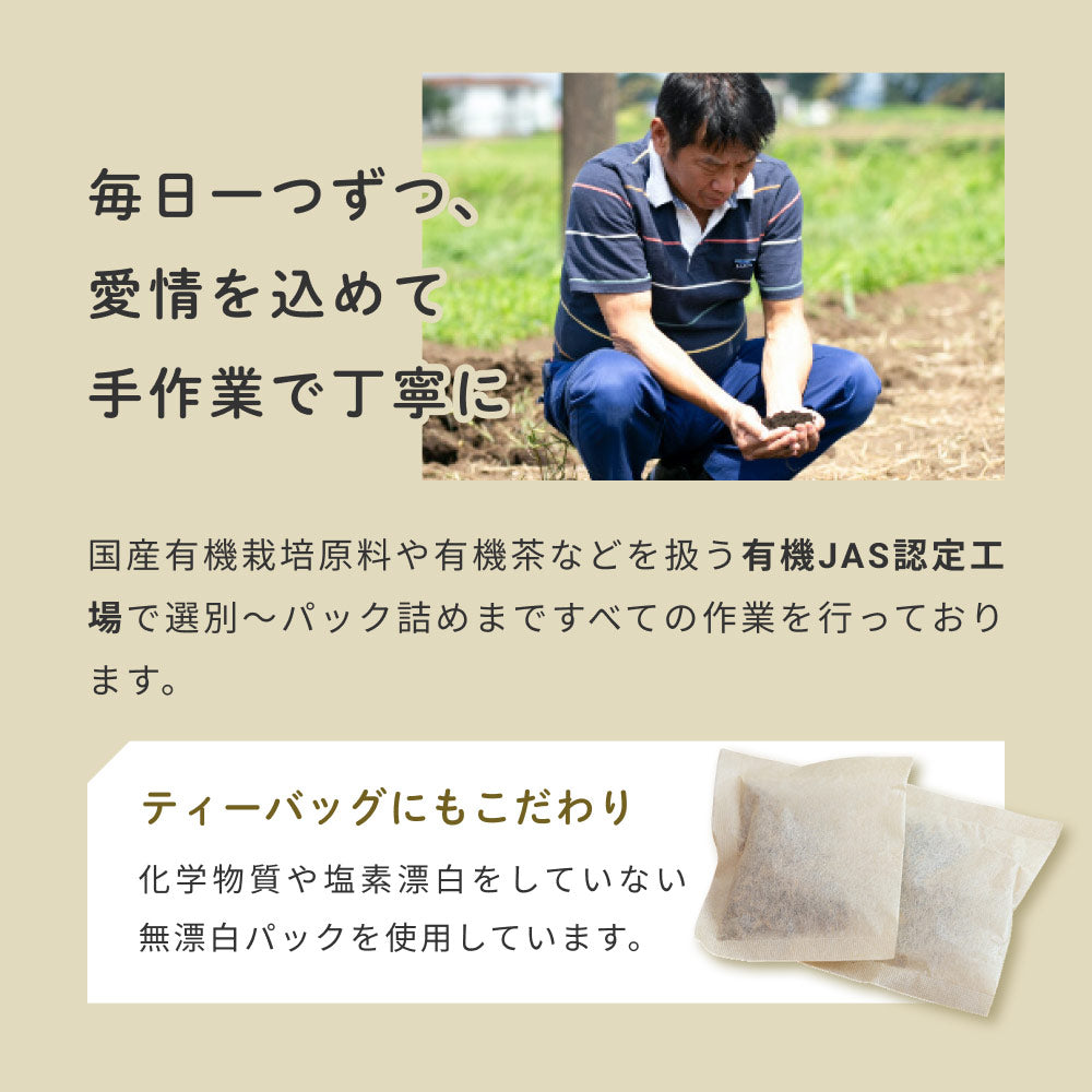 健康菜茶 国産焙煎ごぼう茶 水出し ティーバッグ 50包