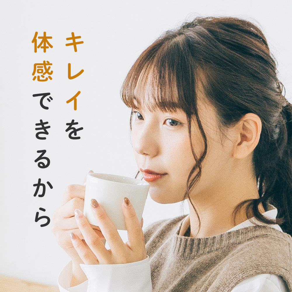 健康菜茶 国産焙煎ごぼう茶 水出し ティーバッグ 50包