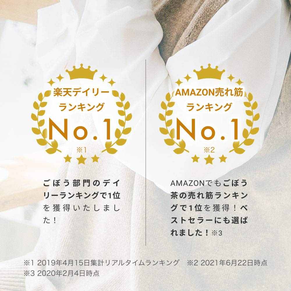健康菜茶 国産焙煎ごぼう茶 水出し ティーバッグ 50包