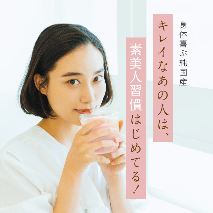 大地のめぐみ素美人 ソイプロテイン まるごといちご味 純国産 完全食 無添加  250g