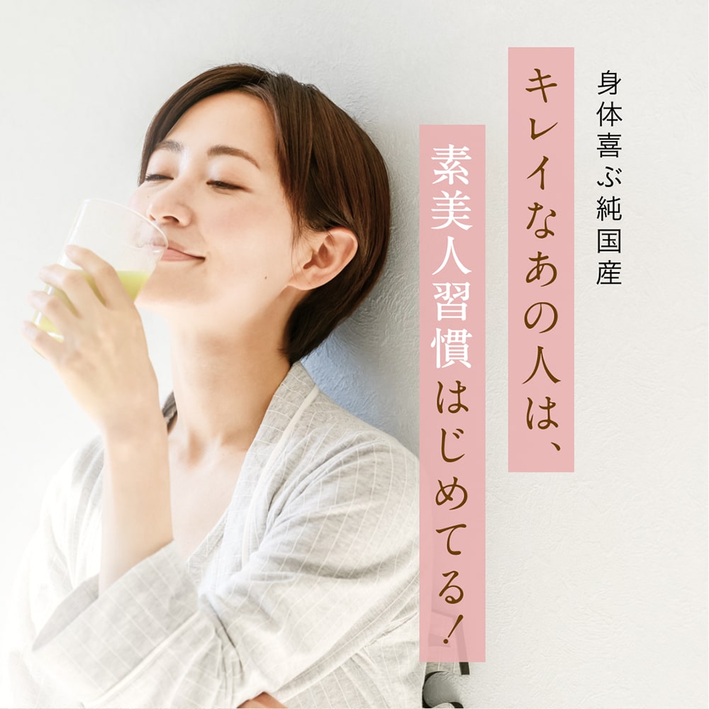 大地のめぐみ素美人 やさしい黒糖抹茶味 純国産ソイプロテイン 完全食 無添加 250g